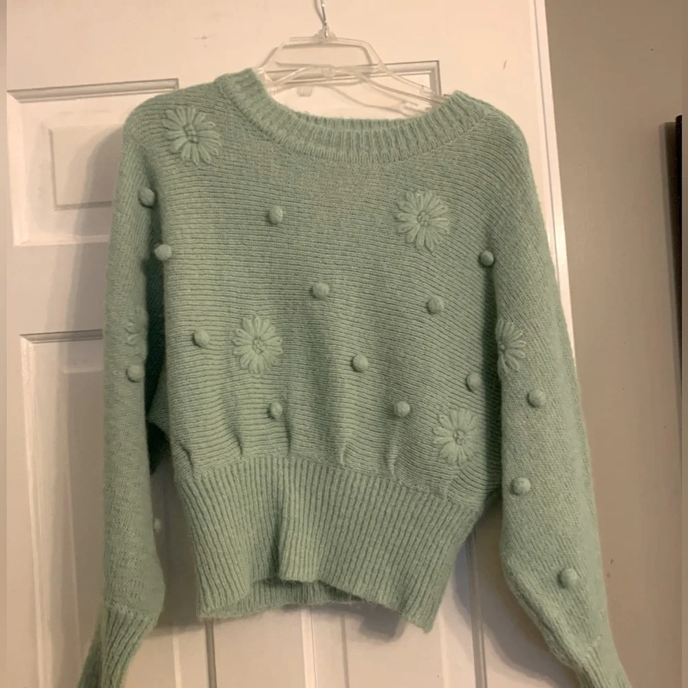 Crème de mente Lush Brand sweater. Never worn. - Picture 1 of 4